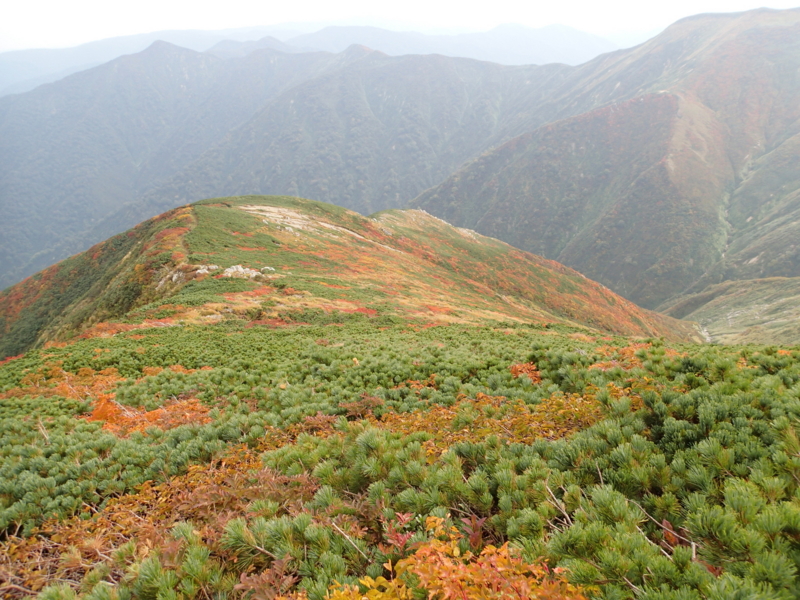 f:id:s-field0808:20141002195604j:image:w360