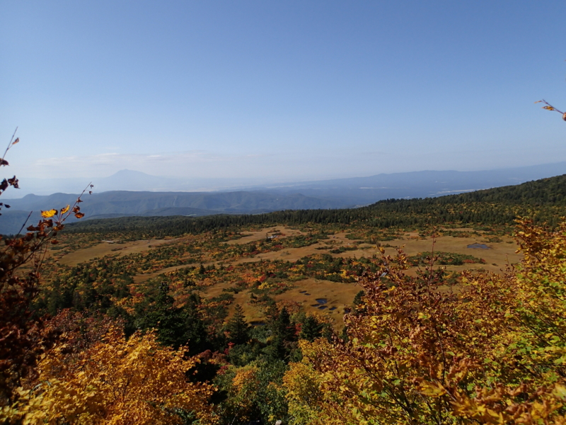f:id:s-field0808:20141008202821j:image:w360