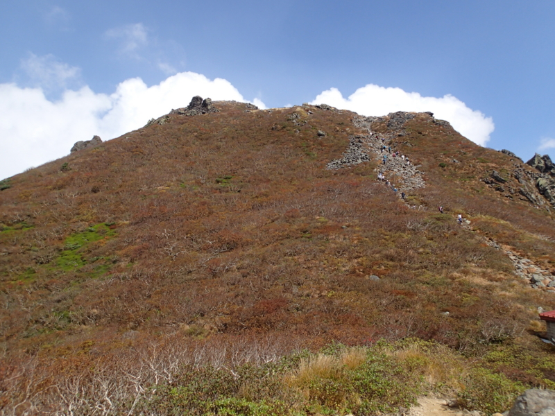 f:id:s-field0808:20141009090202j:image:w360