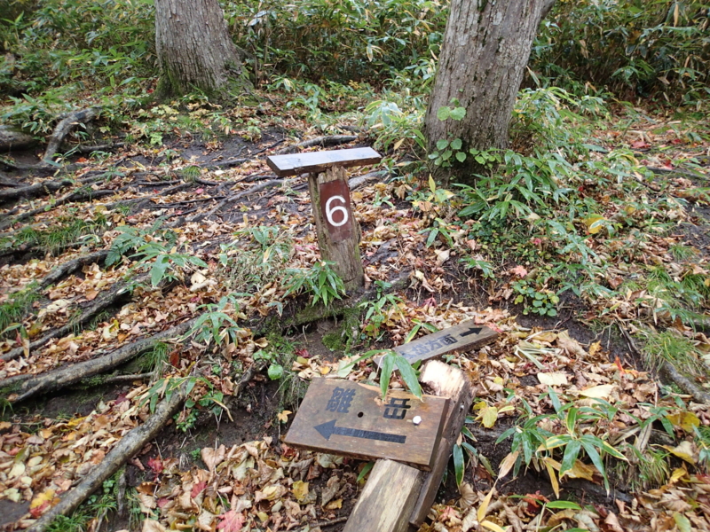 f:id:s-field0808:20141009121849j:image:w360