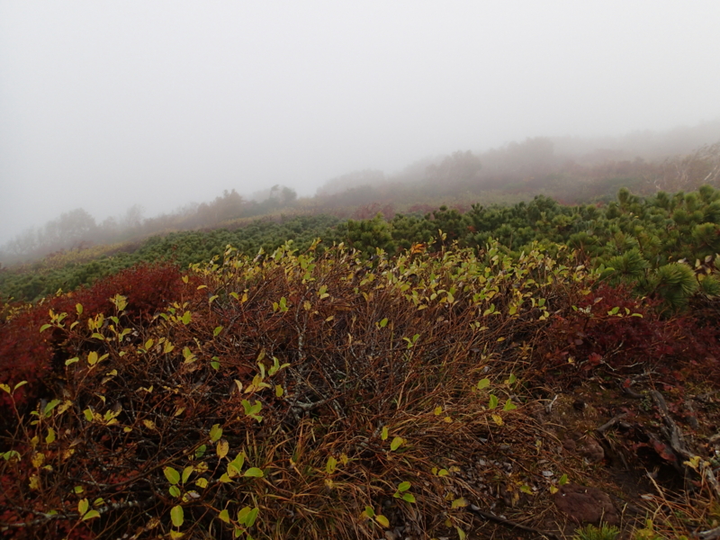 f:id:s-field0808:20141009122032j:image:w360