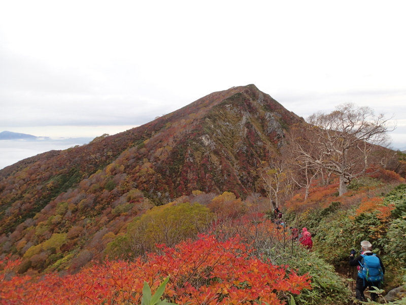 f:id:s-field0808:20141015101843j:image:w360