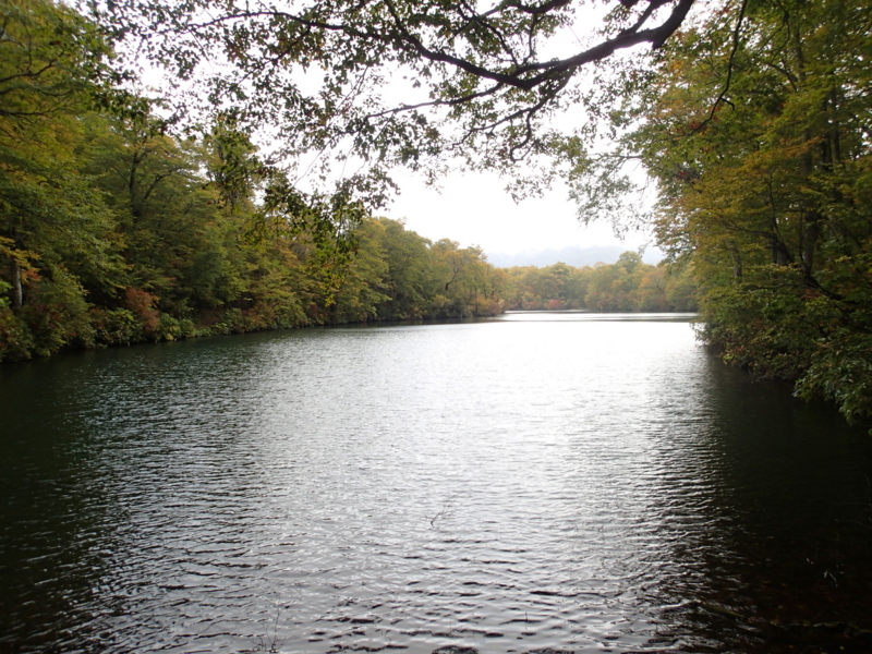 f:id:s-field0808:20141016125441j:image:w360