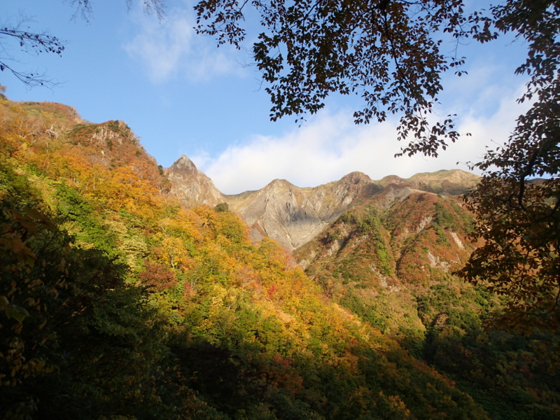 f:id:s-field0808:20141016133558j:image:w360