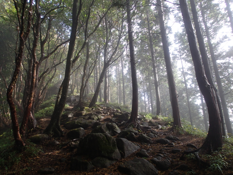 f:id:s-field0808:20141016183501j:image:w360