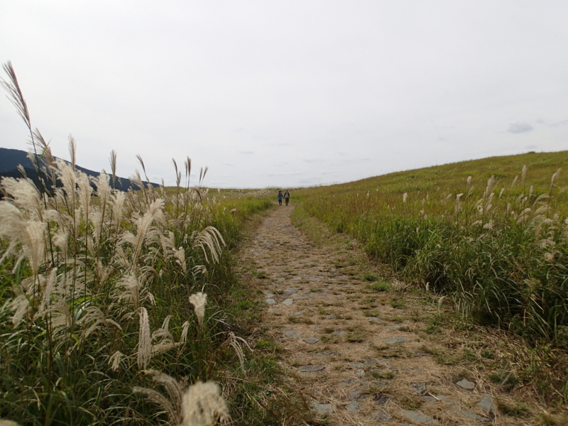 f:id:s-field0808:20141016184314j:image:w360