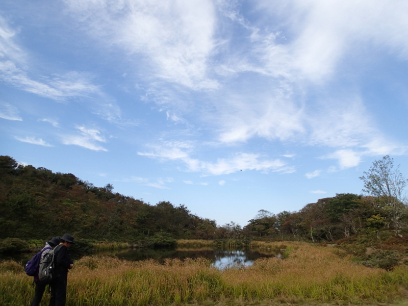 f:id:s-field0808:20141016190413j:image:w360
