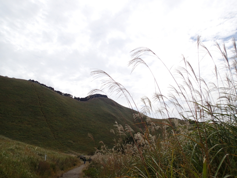 f:id:s-field0808:20141023103252j:image:w360