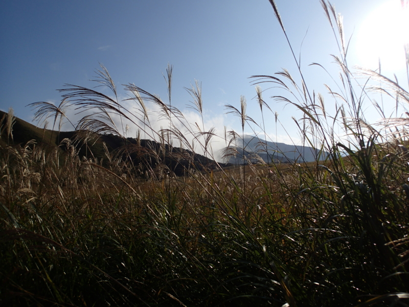 f:id:s-field0808:20141023104038j:image:w360