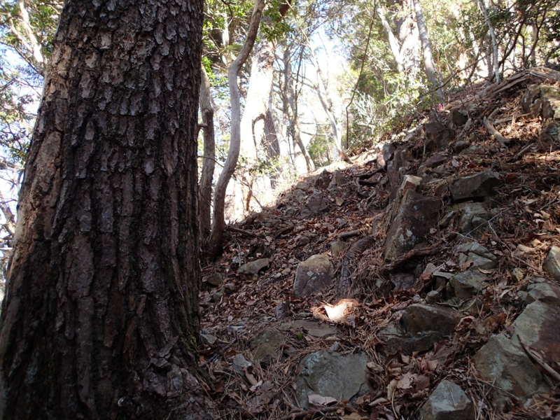 f:id:s-field0808:20150220122119j:image:w360 f:id:s-field0808:20150220122119j:image:w360