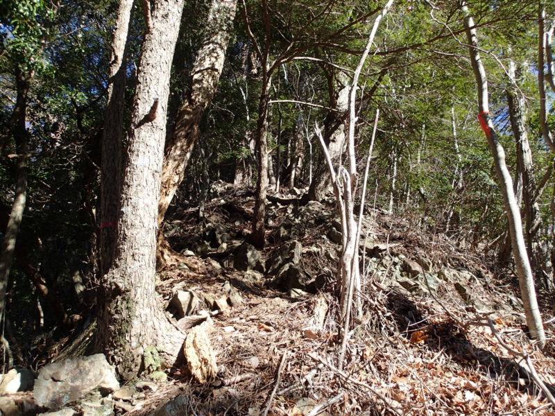 f:id:s-field0808:20150220122250j:image:w360 f:id:s-field0808:20150220122250j:image:w360