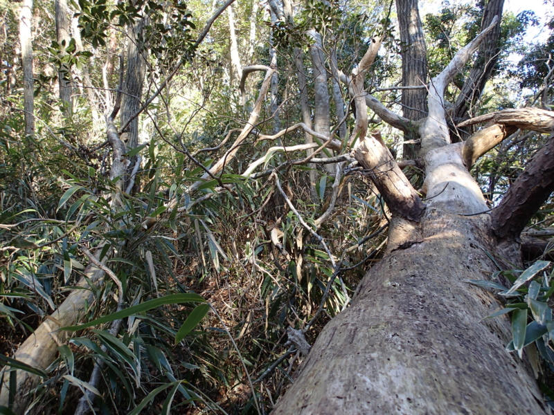 f:id:s-field0808:20150220122455j:image:w360 f:id:s-field0808:20150220122455j:image:w360