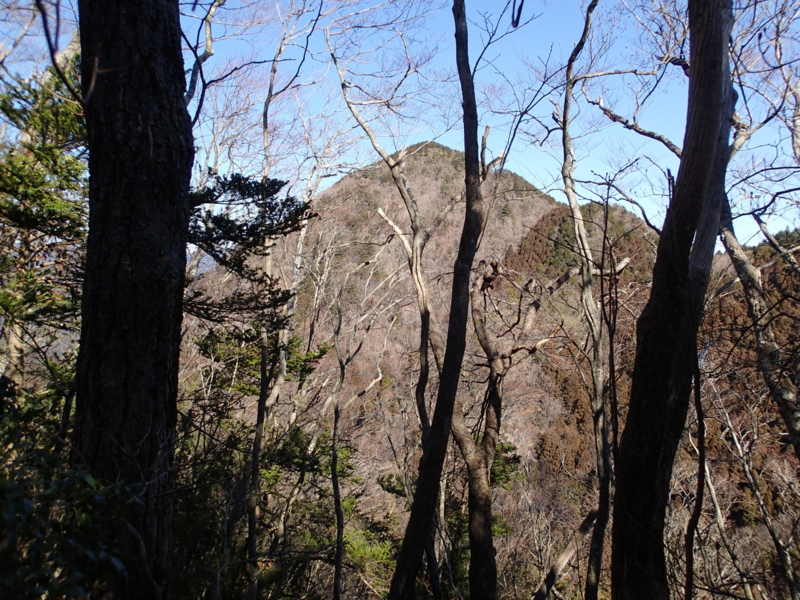 f:id:s-field0808:20150220122725j:image:w360 f:id:s-field0808:20150220122725j:image:w360