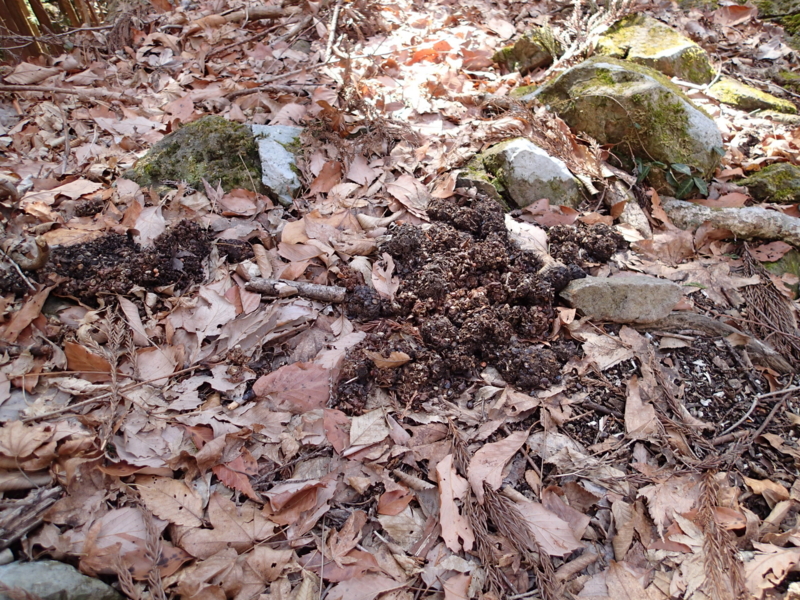 f:id:s-field0808:20150220122833j:image:w360 f:id:s-field0808:20150220122833j:image:w360