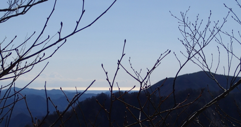 f:id:s-field0808:20150220125100j:image:w360 f:id:s-field0808:20150220125100j:image:w360