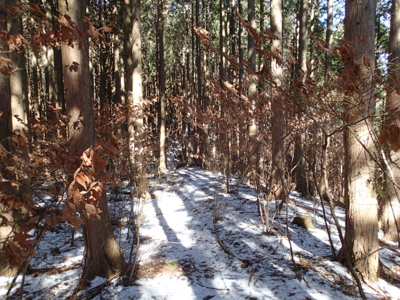 f:id:s-field0808:20150220125302j:image:w360 f:id:s-field0808:20150220125302j:image:w360