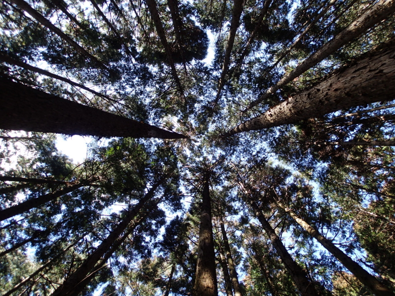 f:id:s-field0808:20150220125827j:image:w360 f:id:s-field0808:20150220125827j:image:w360