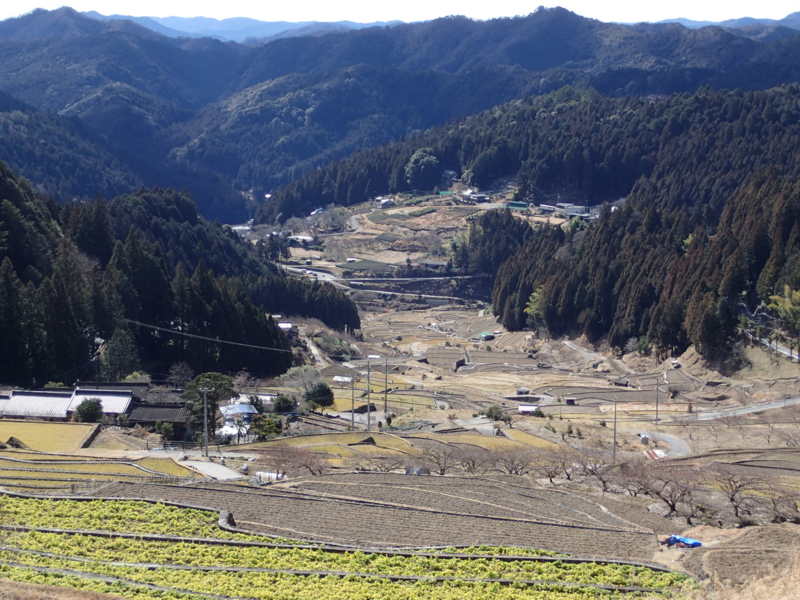 f:id:s-field0808:20150220130249j:image:w360 f:id:s-field0808:20150220130249j:image:w360