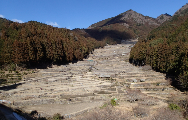 f:id:s-field0808:20150220130754j:image:w360 f:id:s-field0808:20150220130754j:image:w360