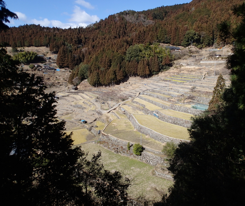 f:id:s-field0808:20150220130800j:image:w360 f:id:s-field0808:20150220130800j:image:w360