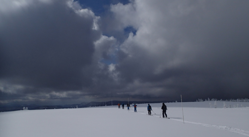 f:id:s-field0808:20150316131347j:image:w360 f:id:s-field0808:20150316131347j:image:w360