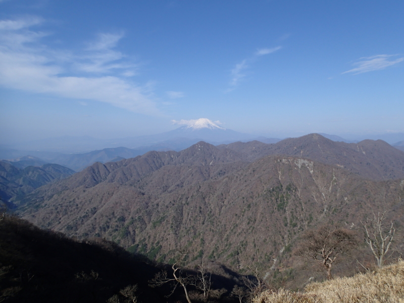 f:id:s-field0808:20150425204552j:image:w360