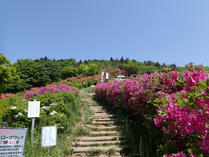 f:id:s-field0808:20150515191037j:image:w360 f:id:s-field0808:20150515191037j:image:w360