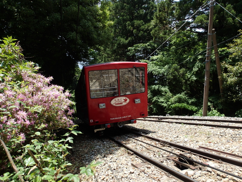 f:id:s-field0808:20150515191223j:image:w360 f:id:s-field0808:20150515191223j:image:w360