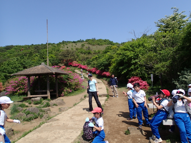 f:id:s-field0808:20150515191500j:image:w360 f:id:s-field0808:20150515191500j:image:w360