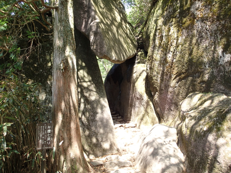 f:id:s-field0808:20150515191759j:image:w360 f:id:s-field0808:20150515191759j:image:w360