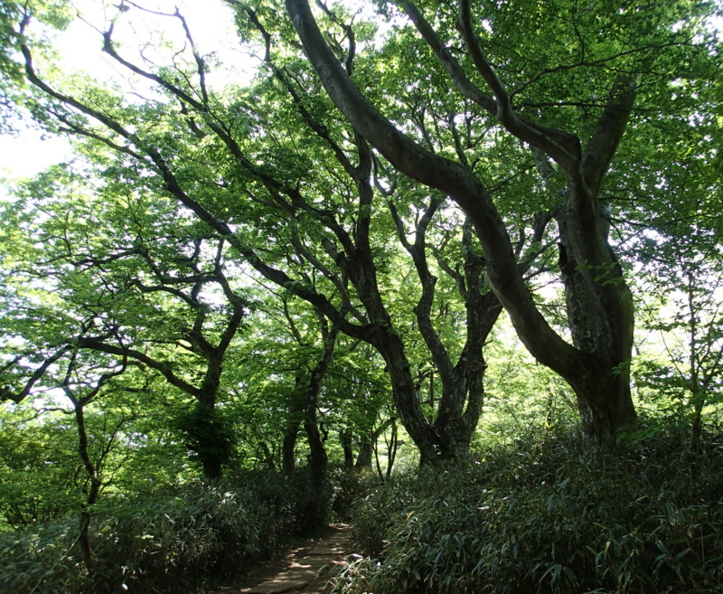 f:id:s-field0808:20150515193124j:image:w360 f:id:s-field0808:20150515193124j:image:w360