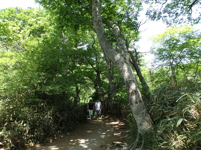 f:id:s-field0808:20150515193153j:image:w360 f:id:s-field0808:20150515193153j:image:w360