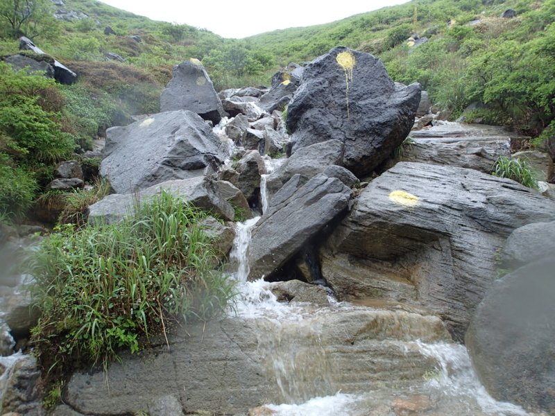 f:id:s-field0808:20150605105509j:image:w360 f:id:s-field0808:20150605105509j:image:w360