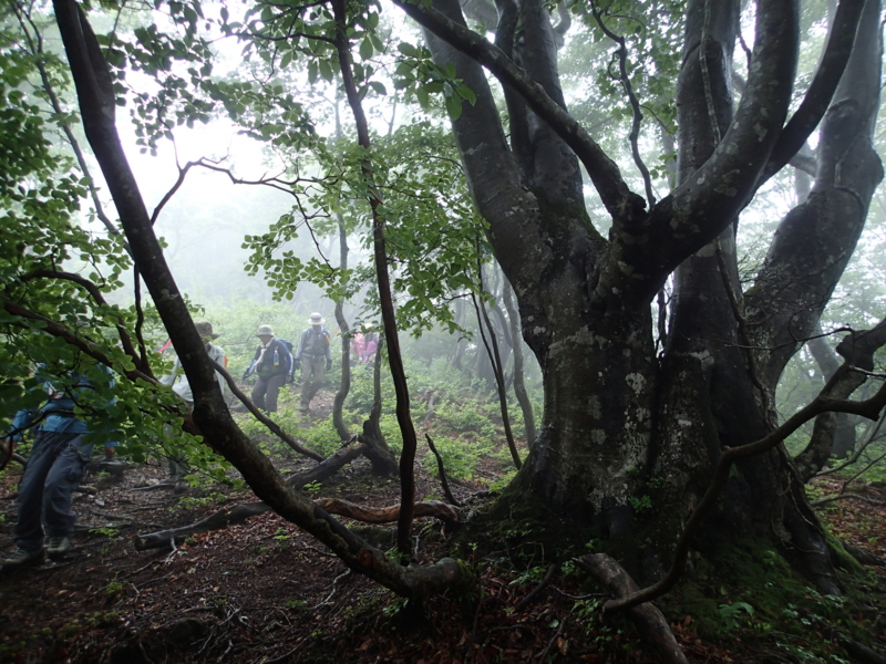 f:id:s-field0808:20150608123624j:image:w360 f:id:s-field0808:20150608123624j:image:w360