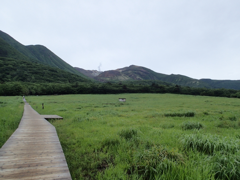 f:id:s-field0808:20150615202430j:image:w360 f:id:s-field0808:20150615202430j:image:w360