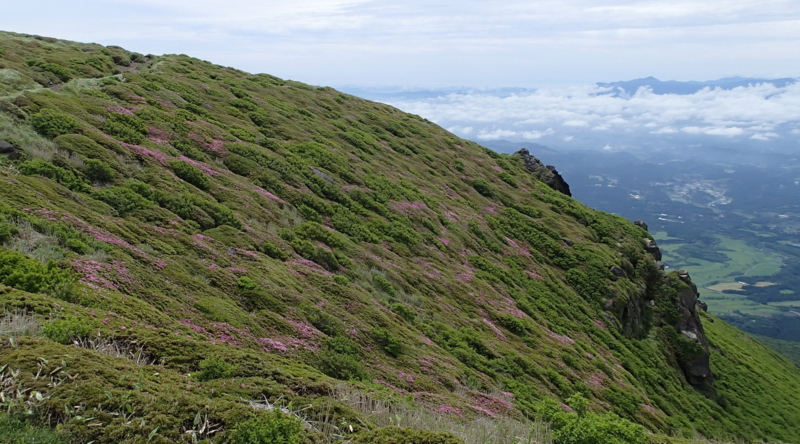 f:id:s-field0808:20150615204302j:image:w360 f:id:s-field0808:20150615204302j:image:w360