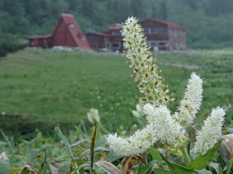 f:id:s-field0808:20150810113457j:image:w360