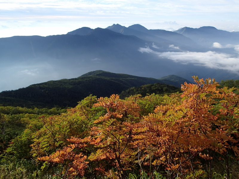 f:id:s-field0808:20151001131839j:image:w360 f:id:s-field0808:20151001131839j:image:w360