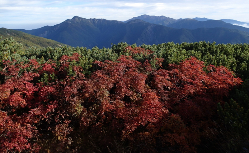 f:id:s-field0808:20151001133137j:image:w360 f:id:s-field0808:20151001133137j:image:w360