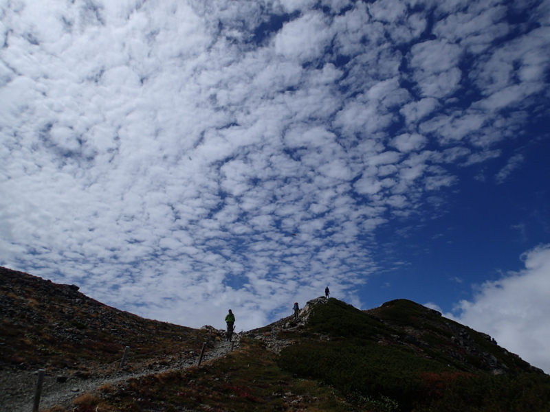 f:id:s-field0808:20151001134438j:image:w360 f:id:s-field0808:20151001134438j:image:w360