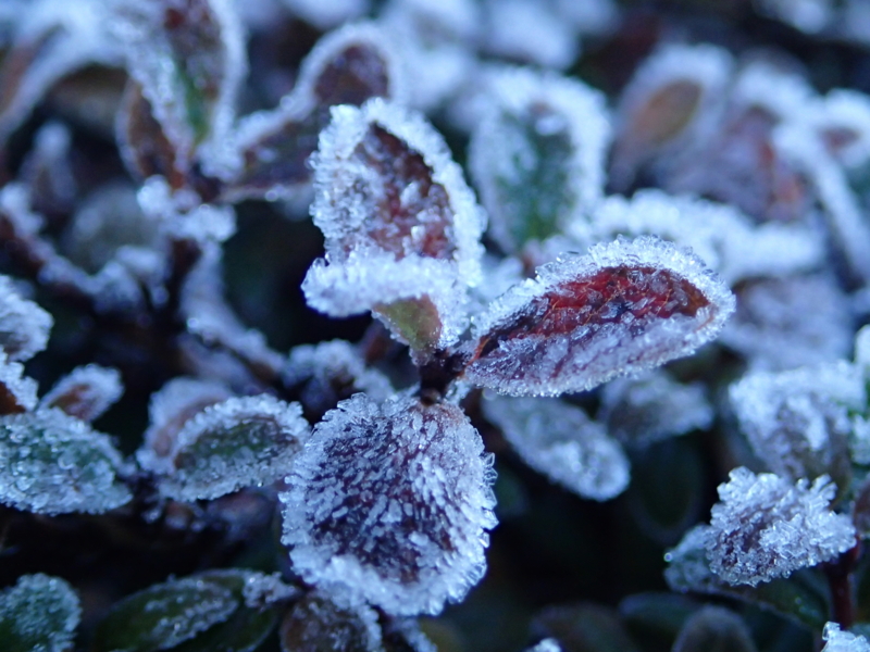 f:id:s-field0808:20151001134615j:image:w360 f:id:s-field0808:20151001134615j:image:w360