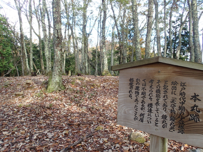 f:id:s-field0808:20151120104415j:image:w360 f:id:s-field0808:20151120104415j:image:w360