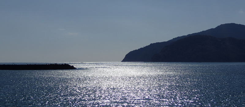 f:id:s-field0808:20151206124340j:image:w640