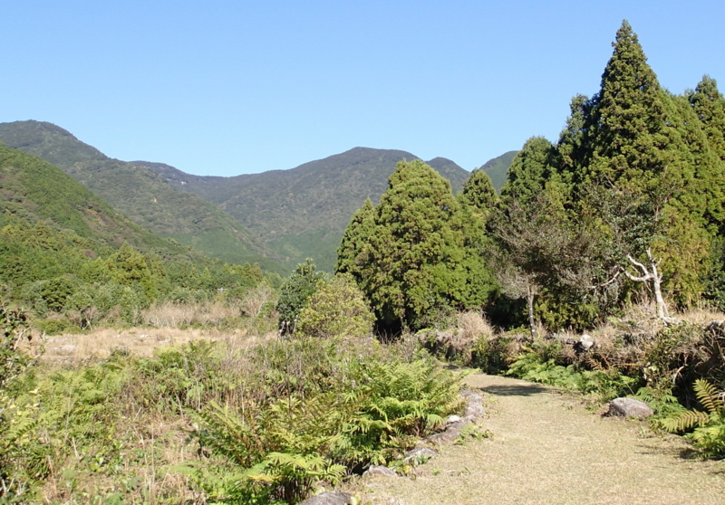 f:id:s-field0808:20151206124753j:image:w360