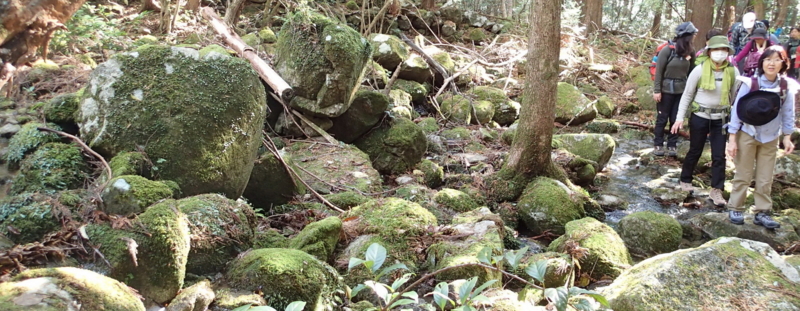 f:id:s-field0808:20151215112531j:image:w640