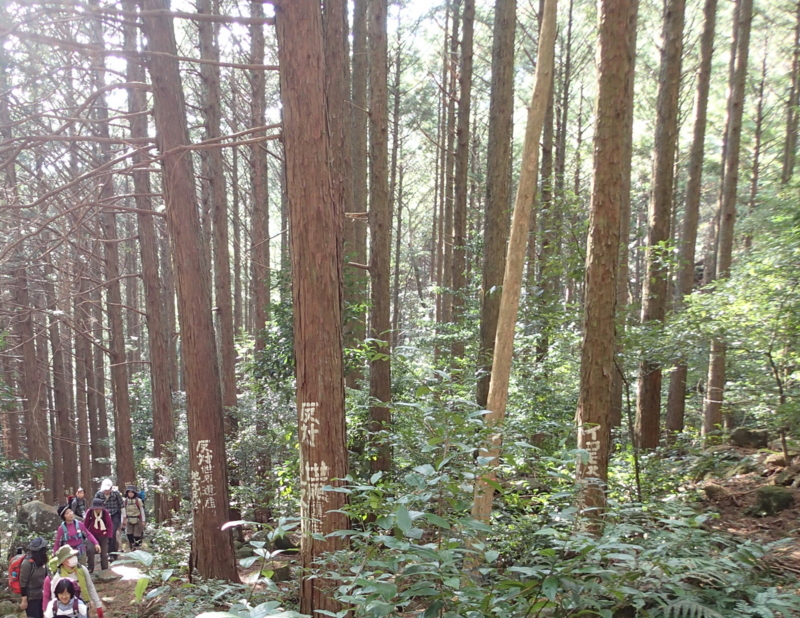 f:id:s-field0808:20151215112659j:image:w360