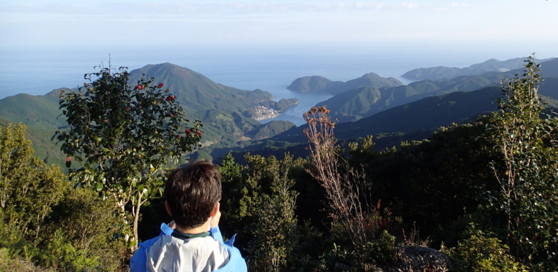 f:id:s-field0808:20151215112943j:image:w640