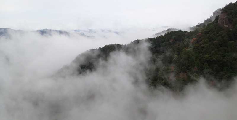f:id:s-field0808:20151217111543j:image:w640