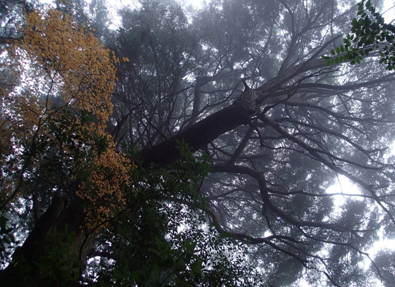 f:id:s-field0808:20151224125847j:image:w360