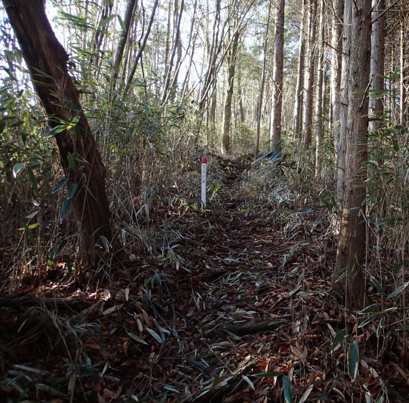 f:id:s-field0808:20160401124051j:image:w360
